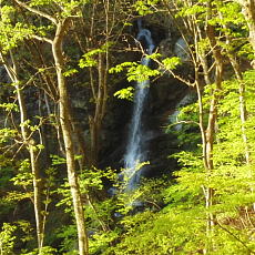 170429_p01.jpg