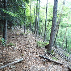170617_p25.jpg