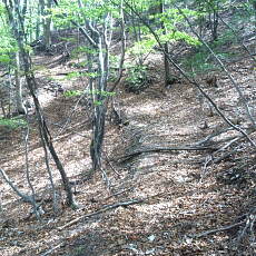 190518_p25.jpg