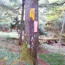 201004_p06.jpg