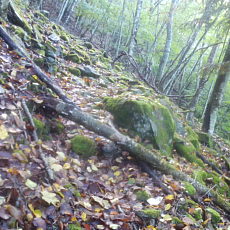 201018_p11.jpg