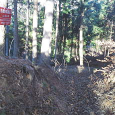 201117_p20.jpg
