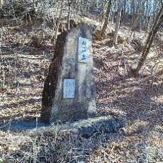 210223_p07.jpg