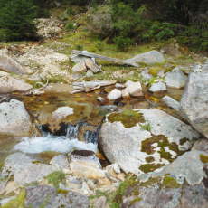 210930_p06.jpg