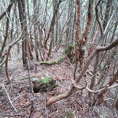 220618_p33.jpg