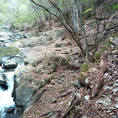 230502_p39.jpg