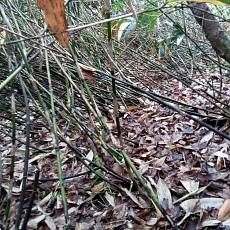 241022_p05.jpg