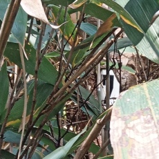 241022_p29.jpg