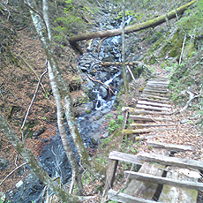 120512_p05.jpg