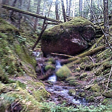 130706_p21.jpg