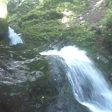 140712_p10.jpg