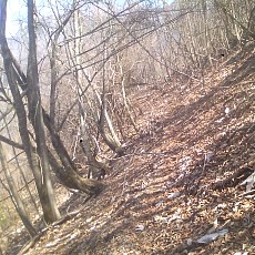 150330_p20.jpg