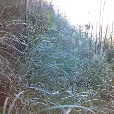 151025-02_p04.jpg