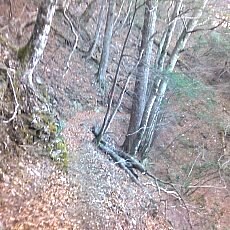 151207_p04.jpg