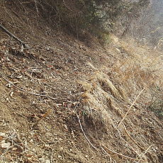 170304_p13.jpg