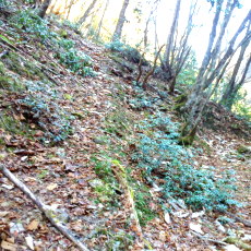 171112_p06.jpg