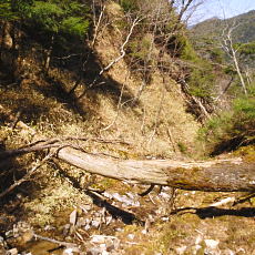180428_p22.jpg