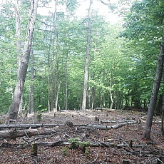 190614_p18.jpg