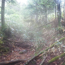190921_p07.jpg