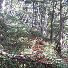 191005_p05.jpg