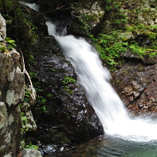 200621_p02.jpg
