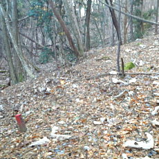 201206_p16.jpg