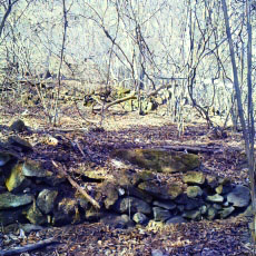 201206_p60.jpg