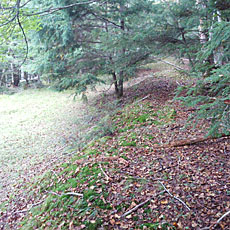 210916_p07.jpg