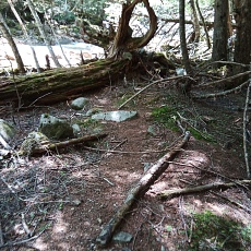 220528_p30.jpg
