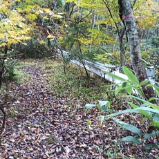 221014_p08.jpg