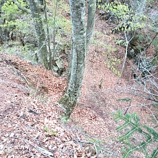 230502_p08.jpg