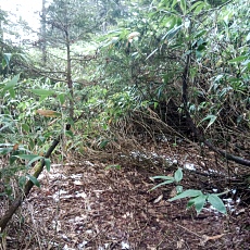 241112_p04.jpg