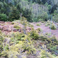 240612_p62.jpg