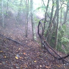 131006_p01.jpg
