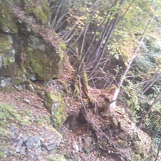 141004_p05.jpg