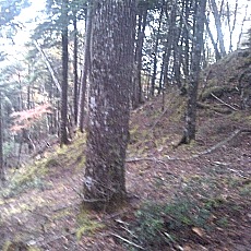 141004_p34.jpg