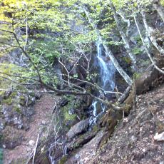 150523_p11.jpg