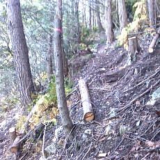 150920-01_p07.jpg