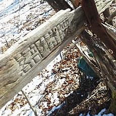 170304_p02.jpg