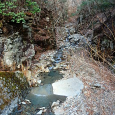 180329_p01.jpg