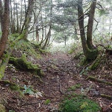 190921_p06.jpg