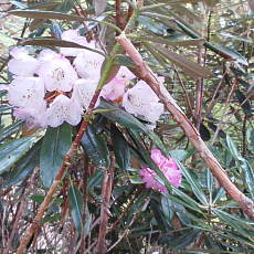 200024_p31.jpg