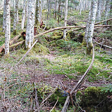 210916_p25.jpg