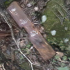 110615_p08.jpg