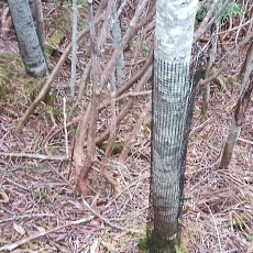 220618_p24.jpg