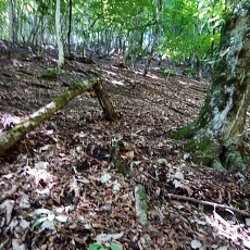 230618_p12.jpg