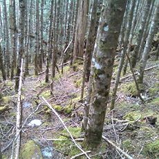 110430_p02.jpg