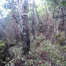 130623_p06.jpg