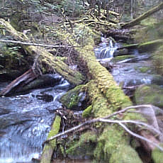130706_p20.jpg