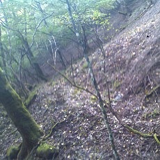 131006_p15.jpg